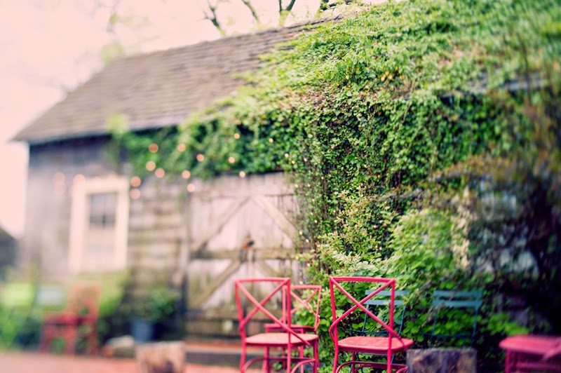 Kelly + Rich, With Hands Held Tightly 14 livingwall.TerrainatStyers.AlisaTonggCelebrant.JoyeusePhotography