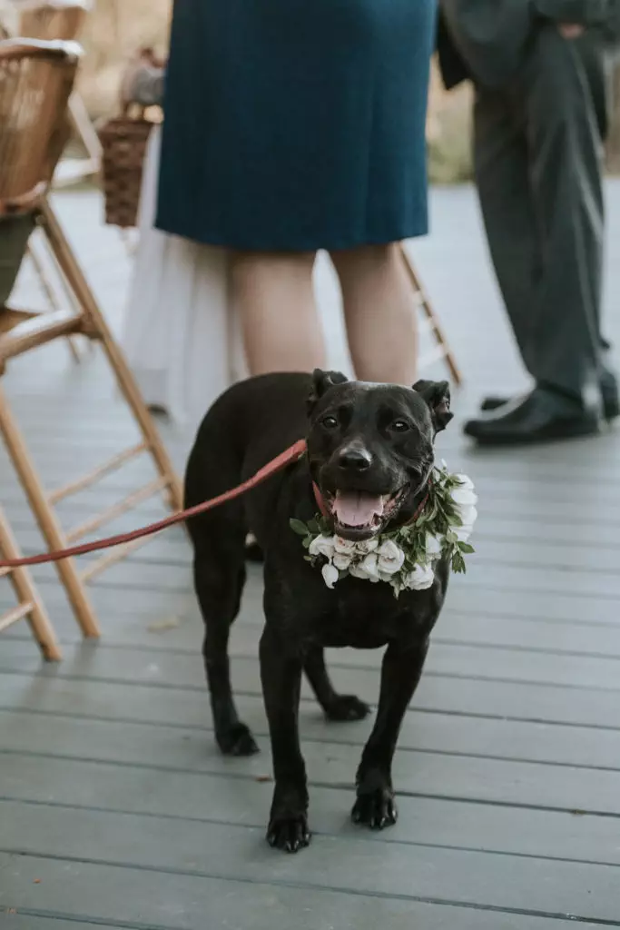 Promise Ridge FAQs 3 Hollie Sam wedding color098