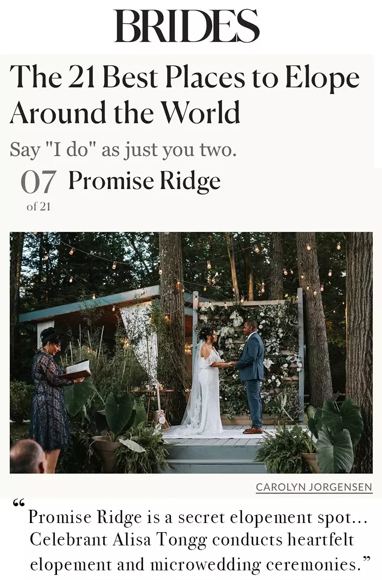 Elope 18 website graphic elope promise ridge